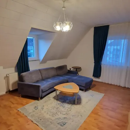 Canim דיסבורג