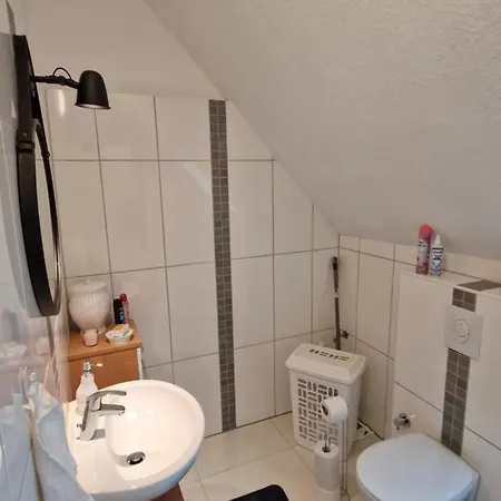 Canim * דיסבורג